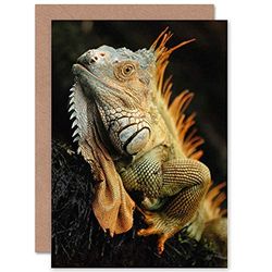 ANIMAL PORTRAIT IGUANA LIZARD REPTILE COOL BLANK GREETINGS BIRTHDAY CARD