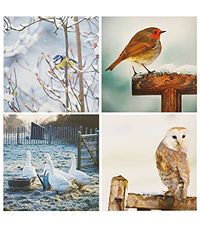 UK Greetings Special Editions Multipack Kerstkaarten - Charity Kerstkaart Multipack - 16 Pack - Kerstkaart Multipack, Multi, 556700-0-1, 150mm x 150mm