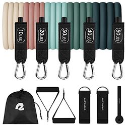 Retrospec Trein Weerstandsbanden Set (5 stuks) Workout Bands w/Handvatten, Deuranker, Draagtas voor Vrouwen & Mannen, Smoothie