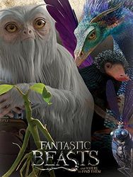 Fantastic Beasts 60 x 80 cm Stampa su Tela, Multicolore