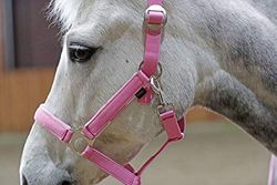 Pony - Set di cavezza Lilli Starlight, con motivo pony