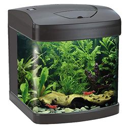 Wave Amtra Laguna XCUBE Aquarium met 26 leds, zwart, compleet met ledverlichting en filter/cm, 31 x 32 x 37 cm, 26 liter