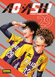 AO ASHI 29