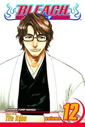 Bleach, Vol. 12: Volume 12
