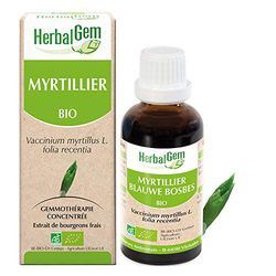 HerbalGem- Macérât-Mère - Myrtillier Bio - Complément Alimentaire Gemmothérapie Concentrée - Extrait De Bourgeon Frais - Pour Les Yeux - Vegan - 30 ml