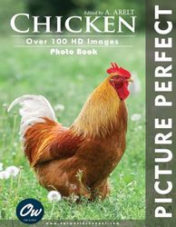 Chicken: Picture Perfect Photo Book