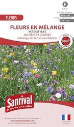 Massief boeket bloemen