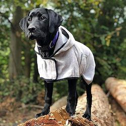 Groom Cappotto di Piccole Dimensioni per Cani, Morbido, con Cappuccio, Lavabile in Lavatrice, Super Assorbente, ad Asciugatura Rapida, Leggero, per Fare Il Bagno o Nuotare per Animali Domestici