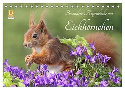 Besondere Augenblicke mit Eichhörnchen (Tischkalender 2024 DIN A5 quer), CALVENDO Monatskalender: Zauberhafte Bilder von kleinen Fotostars