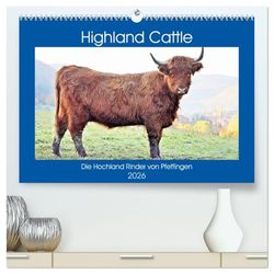 Highland Cattle, die Hochlandrinder aus Pfeffingen (hochwertiger Premium Wandkalender 2026 DIN A2 quer), Kunstdruck in Hochglanz: Urige Rinder auf der Weide