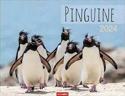 Pinguine Kalender 2024