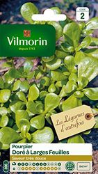 Vilmorin 3875042 Pourpier dore Vert 9 x 0.5 x 16 cm