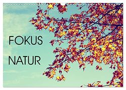 Focus Natur (Wandkalender 2026 DIN A3 quer), CALVENDO Monatskalender: Focus Natur