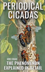 Periodical Cicadas - The Phenomenon Explained In Detail