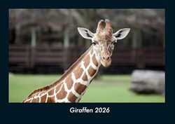 Giraffen 2026 Fotokalender DIN A4: Monatskalender mit Bild-Motiven von Haustieren, Bauernhof, wilden Tieren und Raubtieren