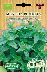 Germisem Biologico Mentha Piperita Semi di Menta Piperita 3 g