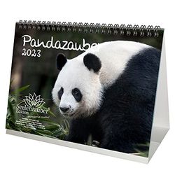 Pandazauber DIN A5 tafelkalender voor 2023 Panda - zielmagie