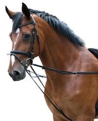 PFIFF Rênes allemandes pour longer Noir Pony
