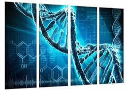 Väggmålning – biologi, vetenskap, kromosom, blå DNA-kedja, 131 x 62 cm, trätryck – XXL-format – konsttryck, ref.27037