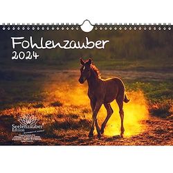 Puledri, calendario DIN A4, per cavalli e puledri, 2024