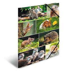 HERMA Cartella portadocumenti A3 roditori, cartella angolare per bambini in cartone con motivo animale, fascia elastica, alette interne e stampa interna, per ragazzi e ragazze