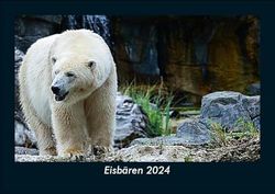 Eisbären 2024 Fotokalender DIN A5: Monatskalender mit Bild-Motiven von Haustieren, Bauernhof, wilden Tieren und Raubtieren