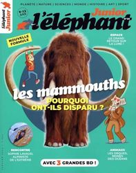 Elephant Junior - N° 20