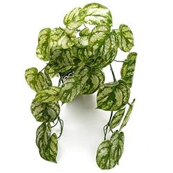 Bladdesign konstgjorda hängande växter, 35 cm ljusgrön