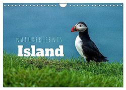 Naturerlebnis Island (Wandkalender 2026 DIN A4 quer), CALVENDO Monatskalender: Panoramen der Insel aus Feuer und Eis
