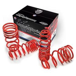 AutoStyle 05069 Molas para diminuir a suspensão
