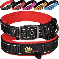 ADITYNA Collar de Perro Acolchado de Neopreno Suave Ultra cómodo para Perros pequeños