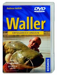 Waller angeln: Die Giganten des Süßwassers
