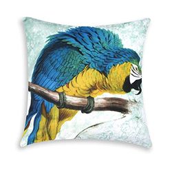 Excelsa Parrots - Cojín Decorativo, Relleno Incluido, Funda de Almohada, algodón, Multicolor, 45 x 45 cm