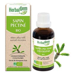 HERBALGEM - Macérât-Mère - Sapin Pectiné Bio - Complément Alimentaire Gemmothérapie Concentrée - Extrait De Bourgeon Frais - Pour Santé Osseuse - Vegan - 30 ml