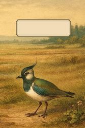 Notizbuch Vogel Kiebitz – Vogelbeobachtung – 150 Seiten DIN A5+ Punktraster: Elegantes Vintage Tagebuch – Stil: Skizzenbuch Kupferstich coloriert Natur