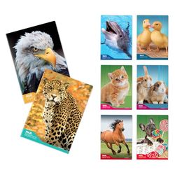 Blasetti - 6 Maxi Learning Notebooks with One Colour Pattern. 100 g paper, 72 sides + flap, Jolly Page, ideal for dysgraphy, pack containing assorted colours - Squares (0C)