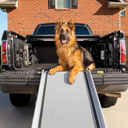 PetSafe Rampa telescópica para perros Happy Ride, Ligera y transportable para mascotas, Para automóviles grandes, Marco de aluminio resistente, 119-221 cm de largo, Soporta hasta 136 kg