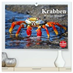 Krabben. Witzige Monster (hochwertiger Premium Wandkalender 2026 DIN A2 quer), Kunstdruck in Hochglanz: Kleine Aliens zum genaueren Betrachten