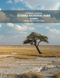 Stunning Colorful Etosha National Park Namibia Images Coffee Table Book: 40 AI-Generated Designs for Relaxation and Meditation and for Travel Lovers