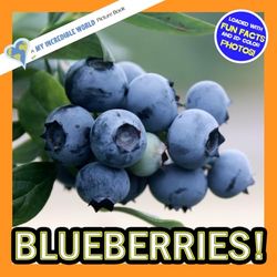 Blueberries!: A My Incredible World Picture Book for Children