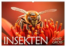 Insekten ganz gross (Wandkalender 2026 DIN A2 quer), CALVENDO Monatskalender: Kleine Insekten im Grossformat