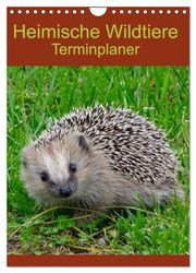Heimische Wildtiere Terminplaner (Wandkalender 2024 DIN A4 hoch), CALVENDO Monatskalender: Wildtiere in ihrem natürlichen Lebensraum