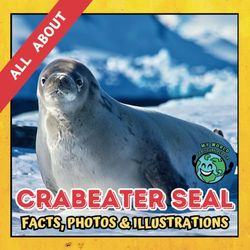 All about Crabeater Seal | Facts, Photos and Illustrations: A Picture Book for Curious Children | Screen-Free Infotainment