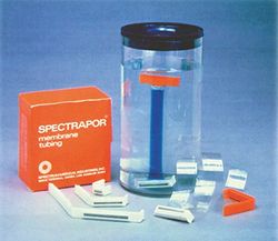 SPECTRUM 059292 dialyse-buis SPECTRA/POR 6, cellulose, breedte plat 32 mm