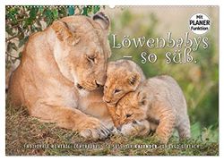Emotionale Momente: Löwenbabys - so süß. (Wandkalender 2025 DIN A2 quer), CALVENDO Monatskalender: Quirlige Löwenbabys in freier Wildbahn fotografiert, Bilder die besonders bezaubern.