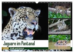 Jaguare im Pantanal (Wandkalender 2026 DIN A3 quer), CALVENDO Monatskalender: Jaguare in ihrem natürlichen Lebensraum