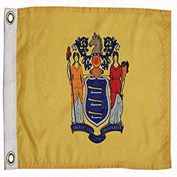 TaylorMade Taylor Made Products Drapeau 93116, New Jersey, 30,5 x 45,7 cm