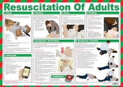 Safety First Aid Group Resuscitation of Adults Poster Laminated, A2