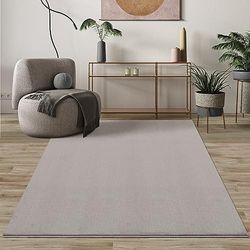 Mia's Teppiche Comfort Tapis Moderne Moelleux à Poils Courts, Dessous antidérapant, Lavable à 30 degrés, Super Doux, Aspect Fourrure, Sable, 80 x 300 cm
