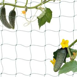 Relaxdays Rete per Piante Rampicanti, 200x750 cm, Sostegno per Pomodori e Cetrioli, Supporto in PE, Maglie 10 cm, Verde